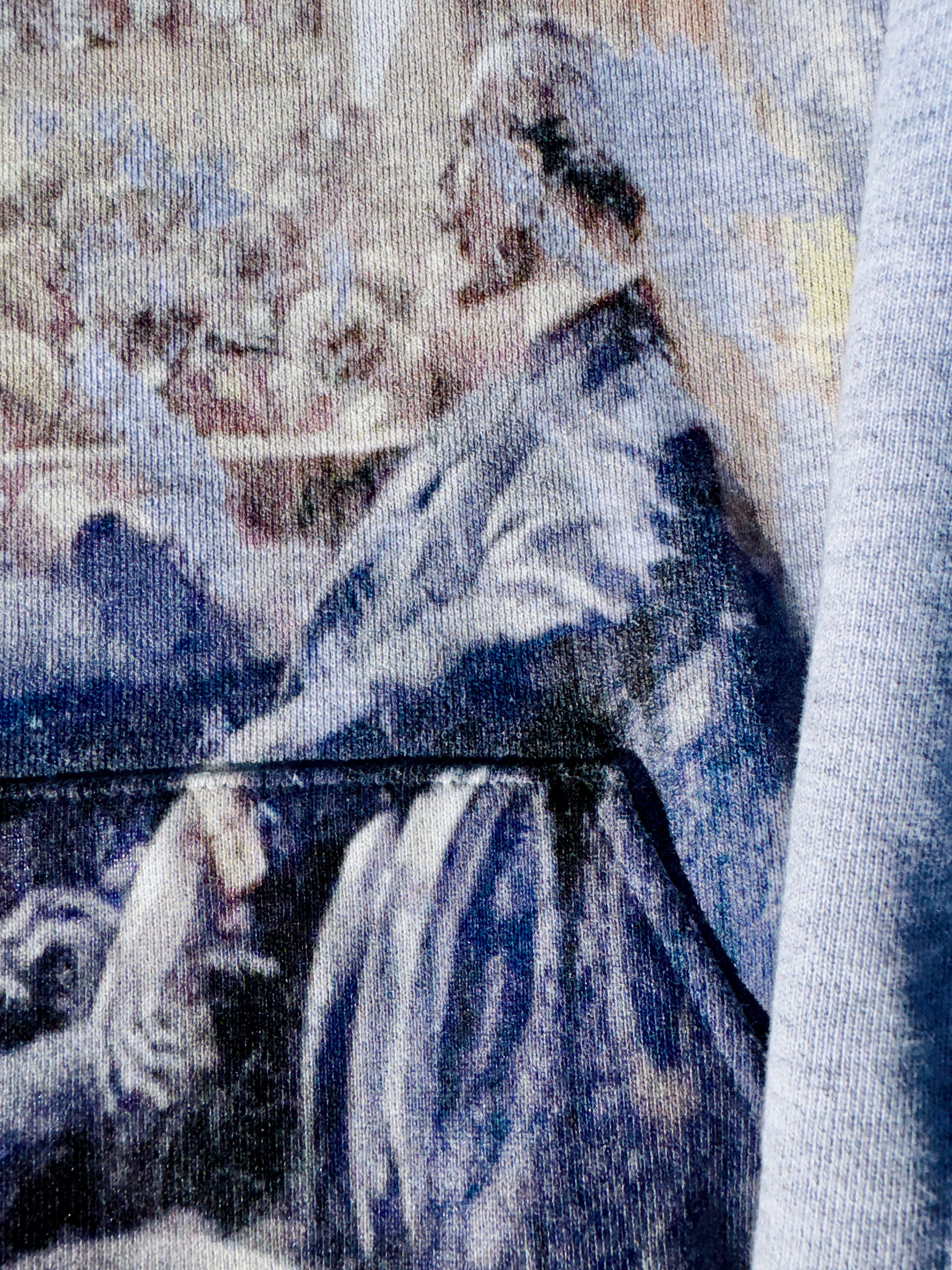 Midnight Showing Hoodie - PREORDER